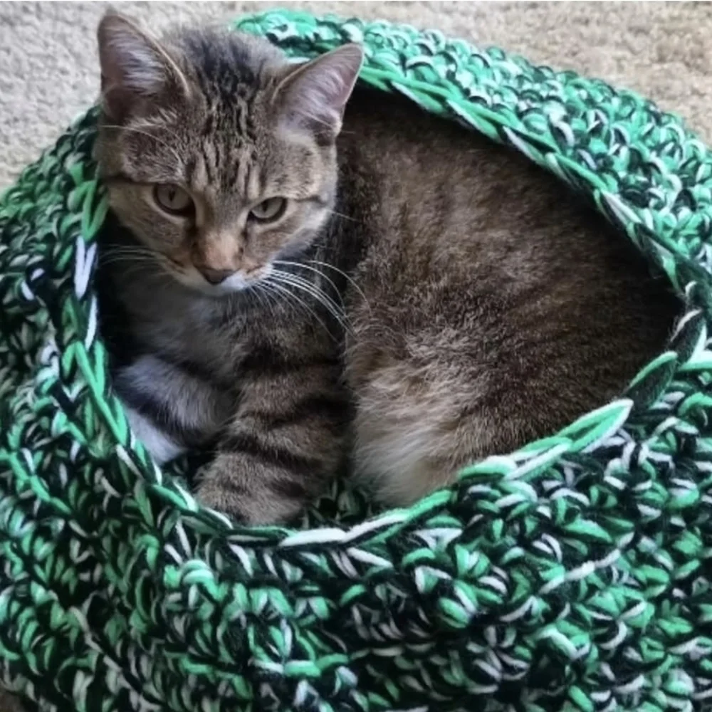 Pink and Green Cat Bed